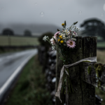 hf_20260225_113154_348a1dc3-adc8-40ae-b94f-89f83cd00f20