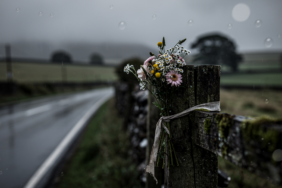 hf_20260225_113154_348a1dc3-adc8-40ae-b94f-89f83cd00f20