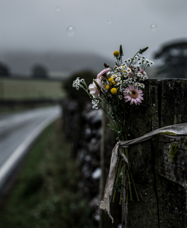 hf_20260225_113154_348a1dc3-adc8-40ae-b94f-89f83cd00f20