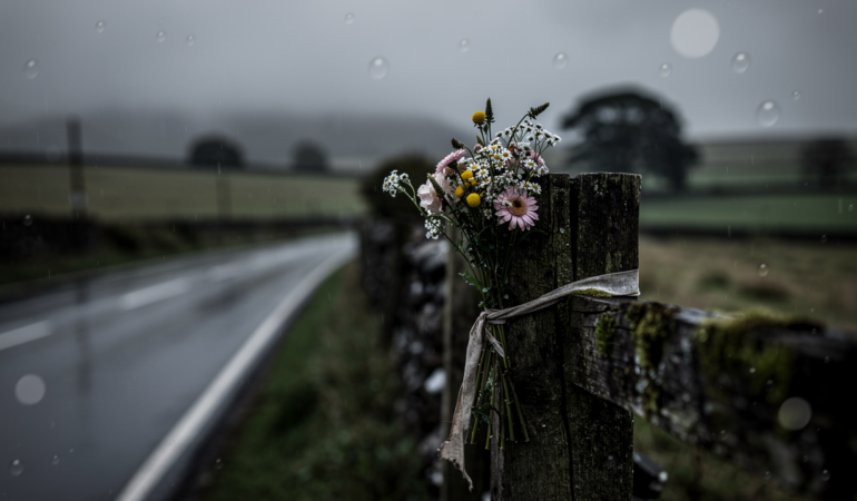 hf_20260225_113154_348a1dc3-adc8-40ae-b94f-89f83cd00f20