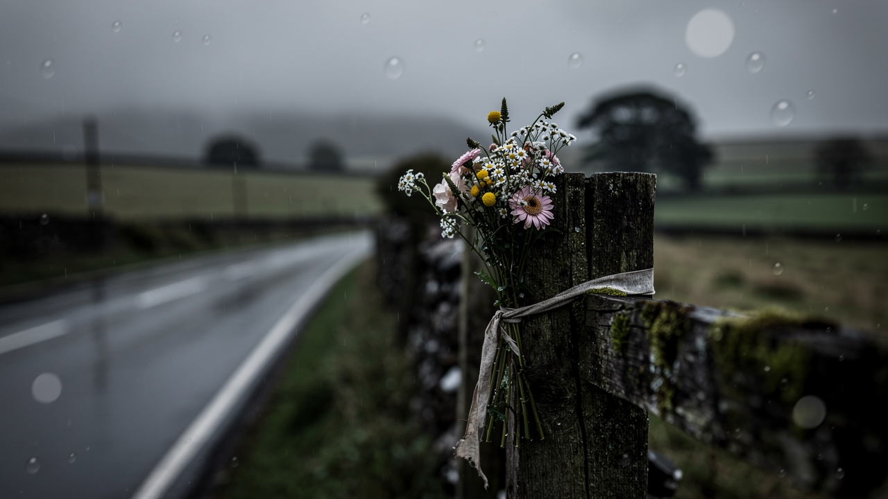 hf_20260225_113154_348a1dc3-adc8-40ae-b94f-89f83cd00f20